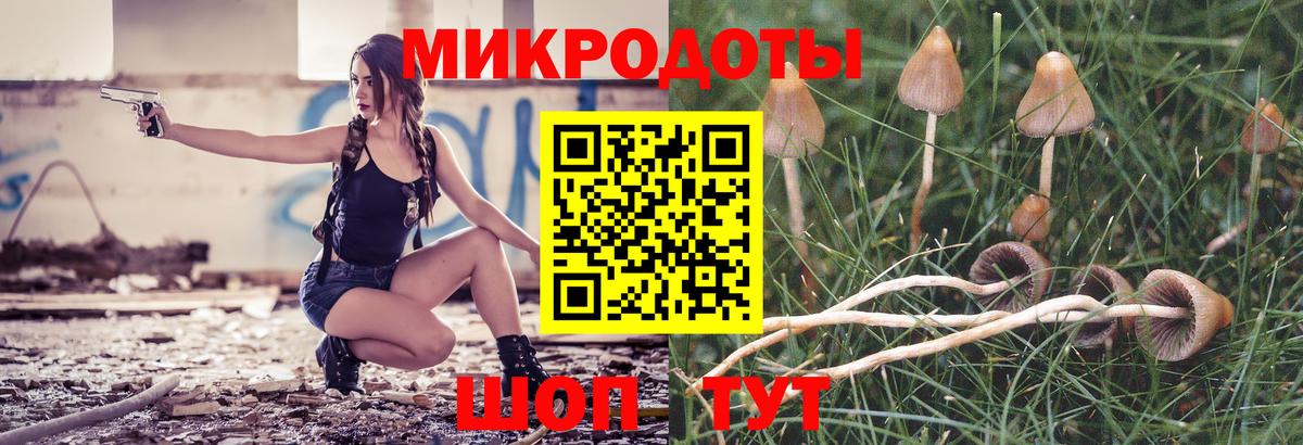 Вязники  Псилоцибиновые грибы MAGIC MUSHROOMS  Вход с VPN 